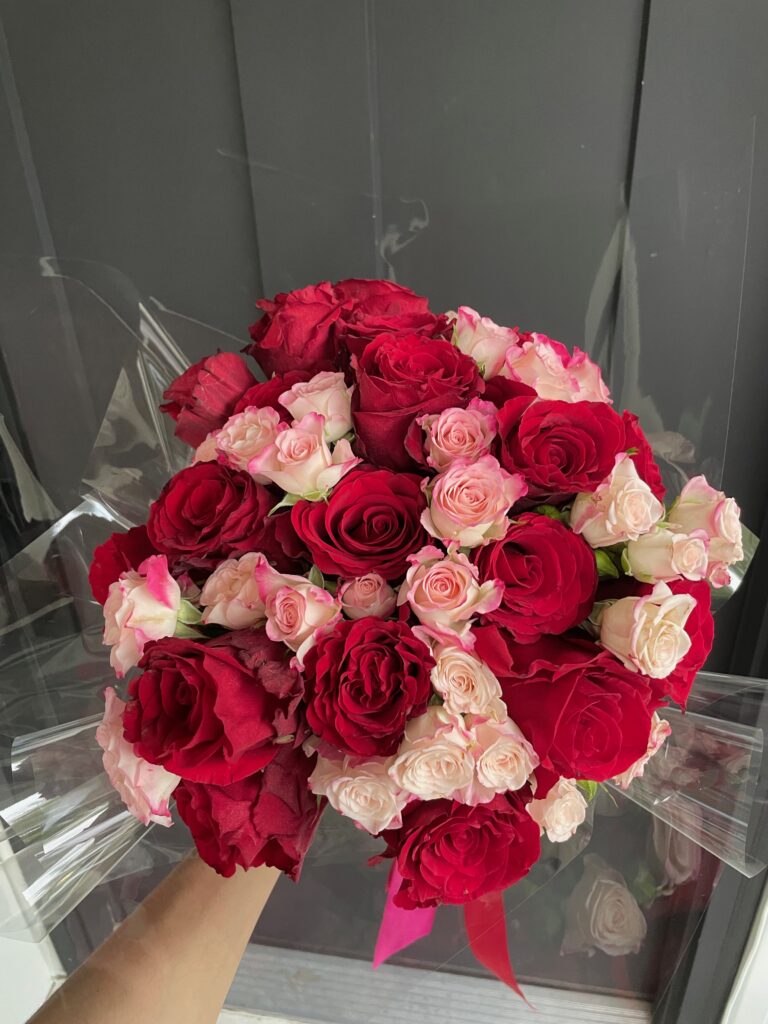 red and pink roses